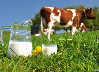 Χάθηκαν 25 εκ. από την αγορά γάλακτος στην πενταετία 