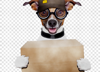 Delivery για κατοικίδια από τον ιδρυτή της e-food Delivery για κατοικίδια από τον ιδρυτή της e-food