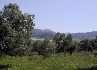 Θα παραχωρηθούν προς καλλιέργεια εκτάσεις της πρώην Κάρλα Θα παραχωρηθούν προς καλλιέργεια εκτάσεις της πρώην Κάρλα