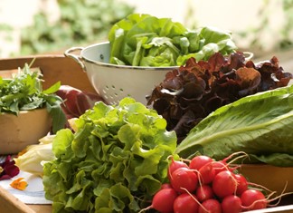 Θεσσαλικά κραμπολάχανα …μέσω του eΒay Θεσσαλικά κραμπολάχανα …μέσω του eΒay