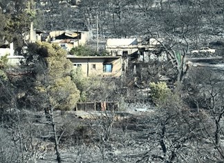 Αττική: Πυρά από τον επιχειρηματικό κόσμο για την φωτιά