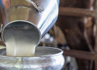 Το ξέπλυμα γάλακτος, η νοθεία, και η κτηνοτροφία Το ξέπλυμα γάλακτος, η νοθεία, και η κτηνοτροφία