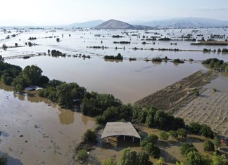 Ο κάμπος θα ανακάμψει λέει το Πανεπιστήμιο Αθηνών Ο κάμπος θα ανακάμψει λέει το Πανεπιστήμιο Αθηνών