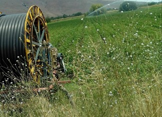 Θέλει περισσότερο νερό ο θεσσαλικός κάμπος Θέλει περισσότερο νερό ο θεσσαλικός κάμπος