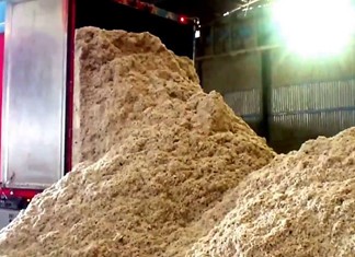 ΕΑΣ Τρικάλων: Ο βαμβακόσπορος «χρυσάφι» και ο περιούσιος μεσάζων ΕΑΣ Τρικάλων: Ο βαμβακόσπορος «χρυσάφι» και ο περιούσιος μεσάζων