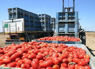 Αναβαθμίζεται η Καρδιτσιώτικη Damavand Αναβαθμίζεται η Καρδιτσιώτικη Damavand