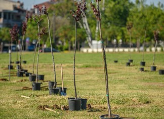 Ένα νέο πάρκο στη Λάρισα από την γαλακτοβιομηχανία Όλυμπος Ένα νέο πάρκο στη Λάρισα από την γαλακτοβιομηχανία Όλυμπος