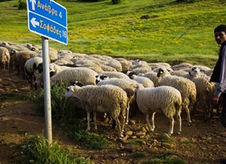 Ενημέρωση της Περιφέρειας για τις βοσκήσιμες γαίες στη Θεσσαλία Ενημέρωση της Περιφέρειας για τις βοσκήσιμες γαίες στη Θεσσαλία