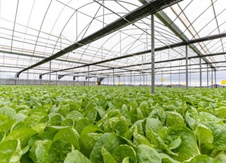 Κύµα επενδύσεων στα τρόφιμα από ελληνικά funds Κύµα επενδύσεων στα τρόφιμα από ελληνικά funds