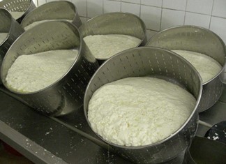 Τράπεζα Πειραιώς: Χρηματοδότηση τυροκομείου με "συμβολαιακή" Τράπεζα Πειραιώς: Χρηματοδότηση τυροκομείου με "συμβολαιακή"