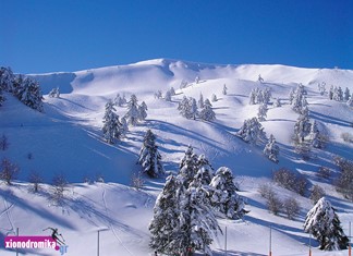 Εκσυγχρονίζεται το χιονοδρομικό της Βασιλίτσας Εκσυγχρονίζεται το χιονοδρομικό της Βασιλίτσας