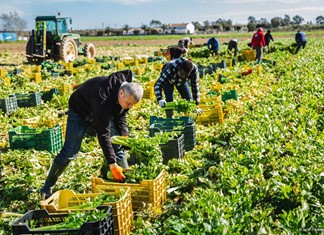 Σκάνδαλα στον ΟΠΕΚΕΠΕ, άφραγκος ο ΕΛΓΑ...