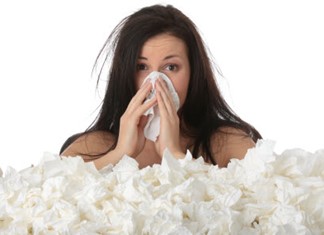 Η ευεργετική δράση της εχινάκειας Η ευεργετική δράση της εχινάκειας