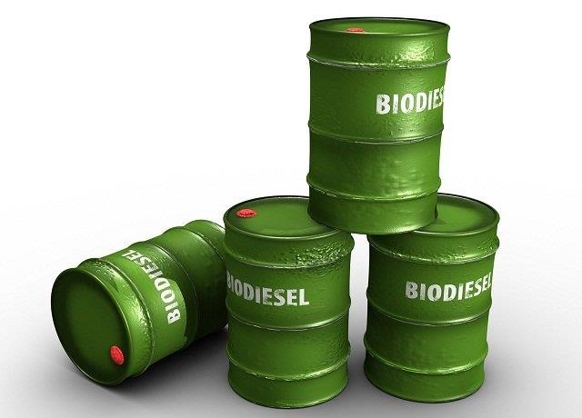 Στην Motor Oil η "Βολιώτικη" Ελίν Βέρντ Α.Ε.