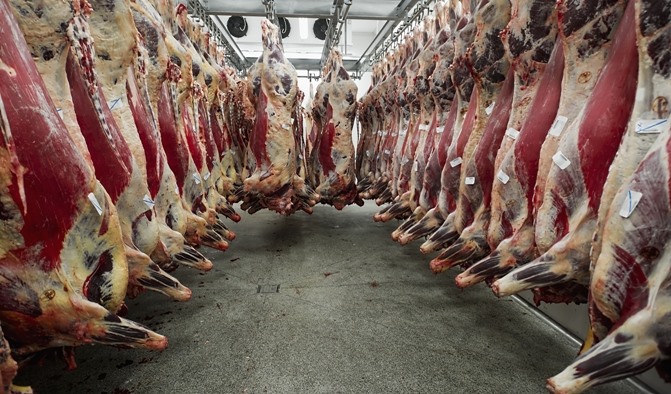 Μείωση του βόειου κρέατος στην Ευρώπη - Σταθερή η Ελλάδα