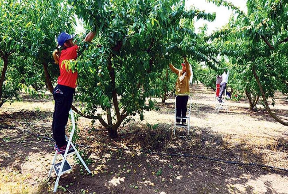 Συμφωνία με την Αίγυπτο για 5.000 εργάτες γης