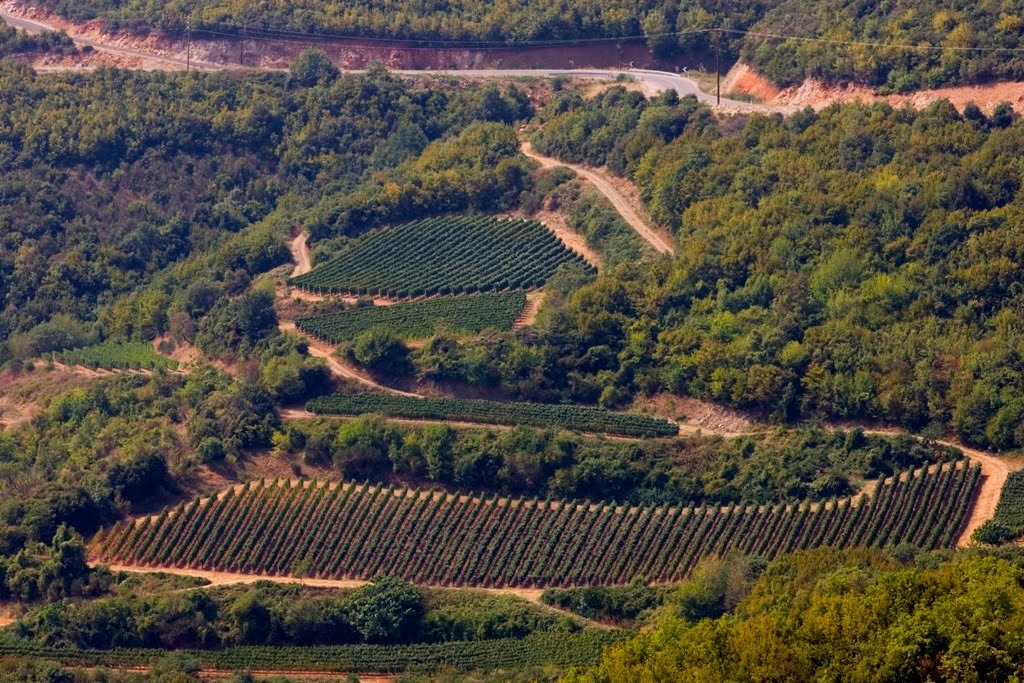 Κτήμα Κατσαρού: Το χαλάζι μείωσε κατά 25% την παραγωγή