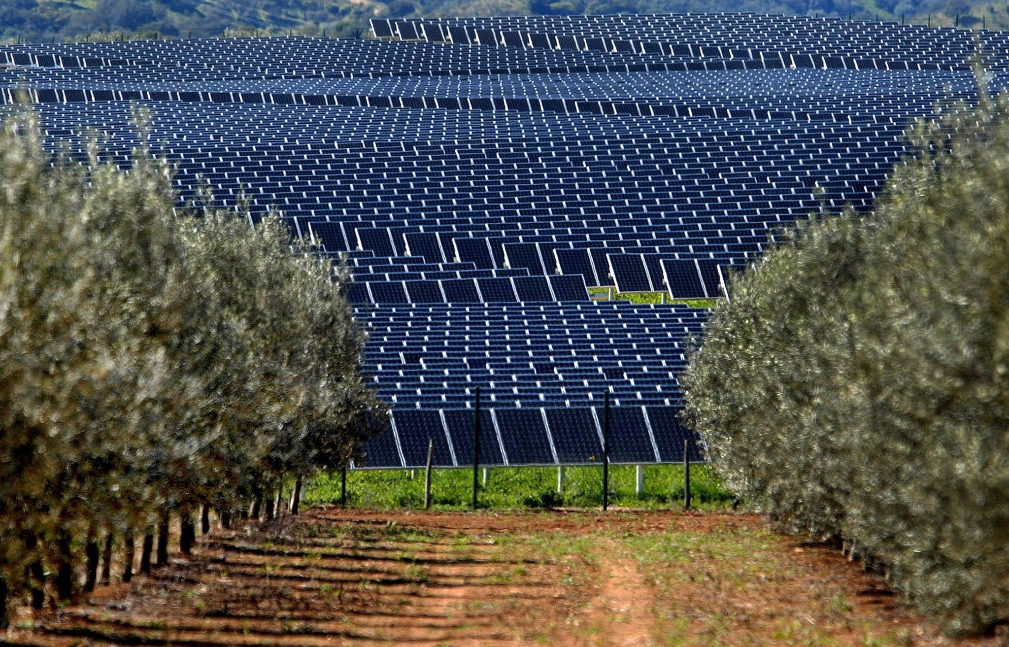 Άφαντο το φωτοβολταϊκό πάρκο της πλουσιότερης Ρωσίδας στα Φάρσαλα