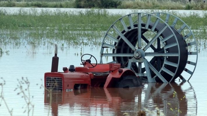 Μεγάλη η ζημιά από τον "Ιανό" στο θεσσαλικό βαμβάκι