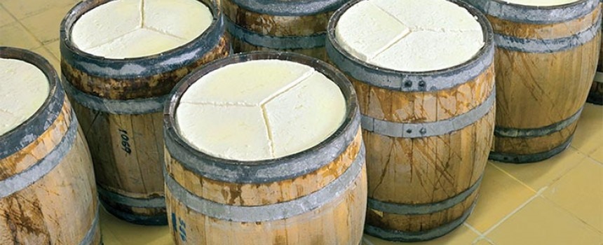 Νέα διοίκηση τυροπαραγωγών Θεσσαλίας που θα ονομαστούν σε Ένωση Μεταποιητών