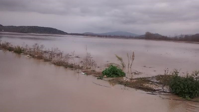 Βαρύ το τίμημα της πλημμύρας στον θεσσαλικό κάμπο