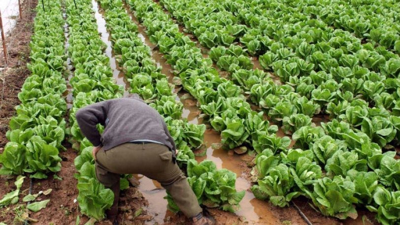 Αποζημιώσεις 34,8 εκατ. ευρώ θα καταβάλει σήμερα ο ΕΛΓΑ