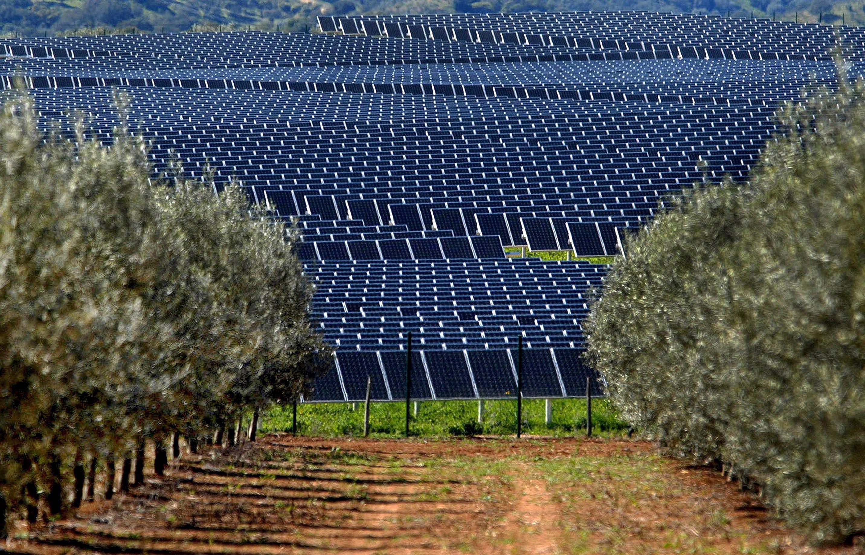 Εντάχθηκαν στις «στρατηγικές» δύο επενδύσεις στη Θεσσαλία