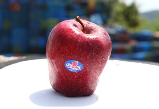 Zagorin: O συνεταιρισμός του Πηλίου μεγαλώνει και βραβεύεται