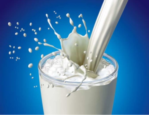 Αυξάνεται η κατανάλωση του βιολογικού γάλακτος στην Ελλάδα