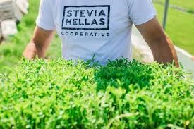 STEVIA HELLAS: Κοντά σε συμφωνία με πολυεθνική