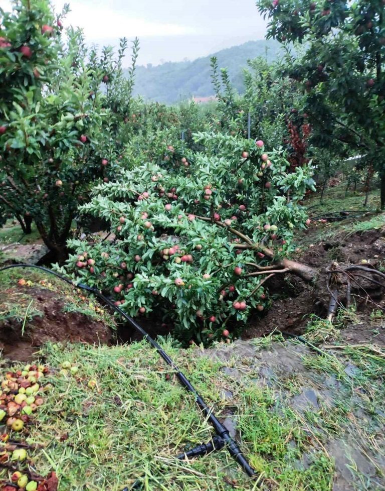 Κρίνεται η επιβίωση του Συνεταιρισμού Ζαγορά