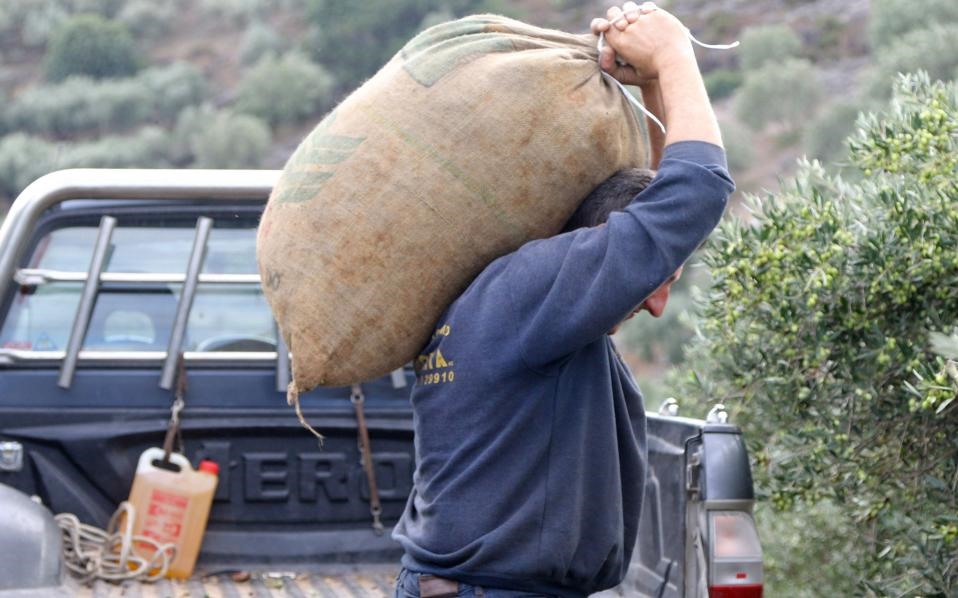 Άλλες 5.350 άδειες παραμονής για ξένους εργάτες γης στη Θεσσαλία