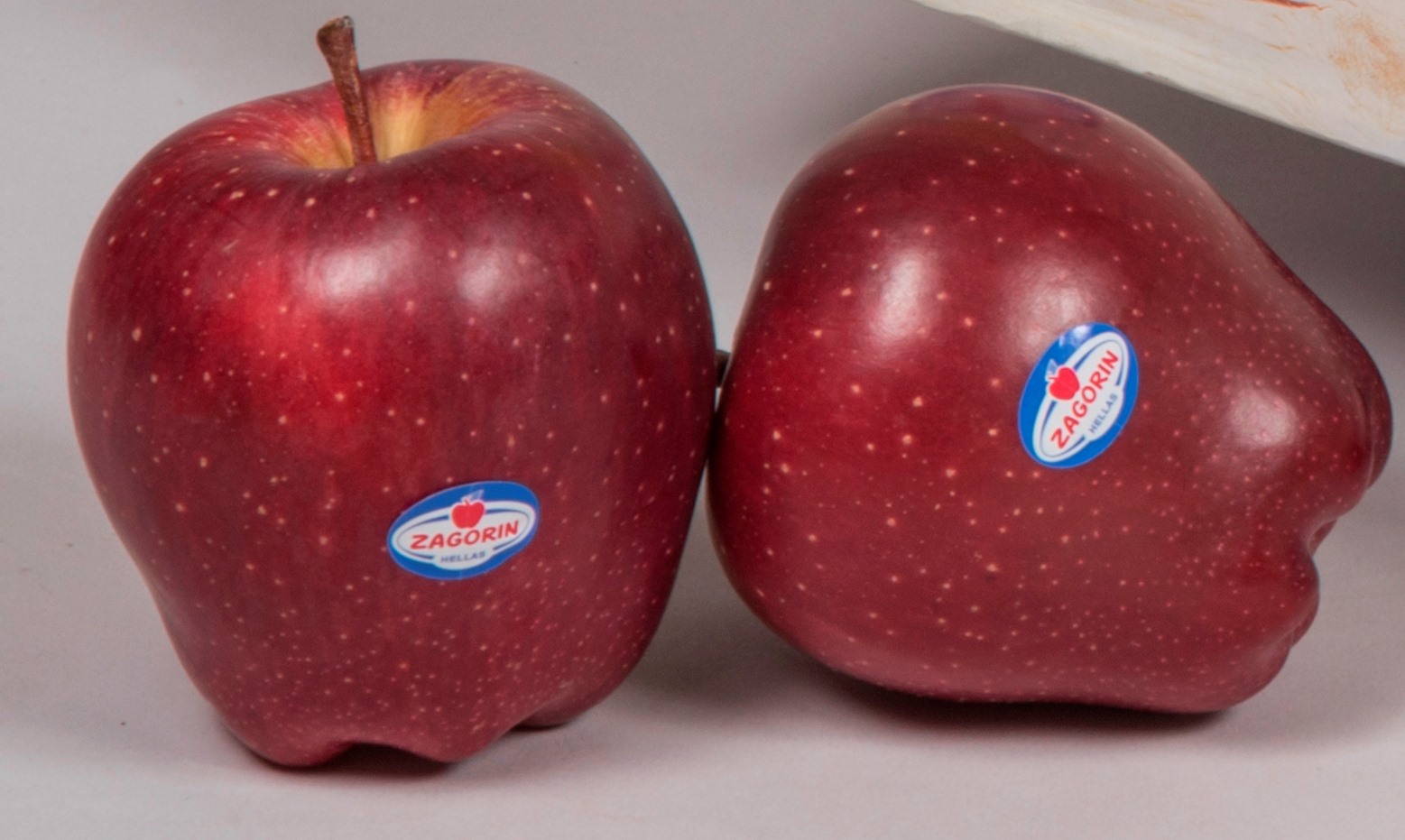 Νέα διοίκηση εξέλεξε ο Αγροτικός Συνεταιρισμός Ζαγοράς Πηλίου