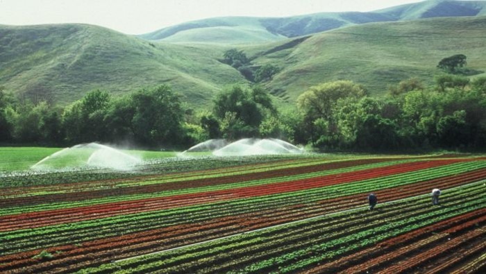 Στη β΄φάση τα αρδευτικά Υπέρειας και Ορφανών