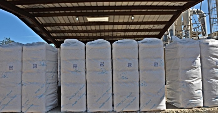 Βαμβάκι: Σε Καρδίτσα - Λάρισα η μεγαλύτερη ποσότητα