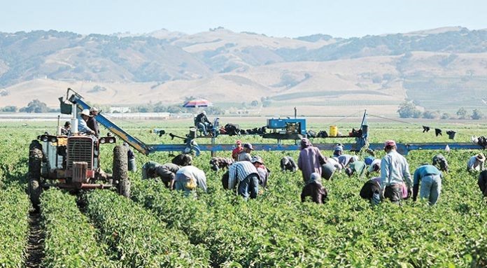 Συμφωνία για ξένα εργατικά χέρια στον κάμπο