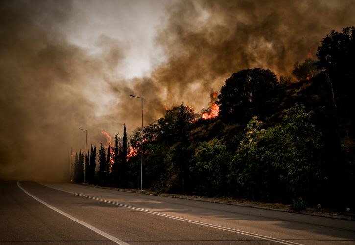 Καταστροφή στη Μαγνησία - Κλειστές οι δυο ΒΙΠΕ
