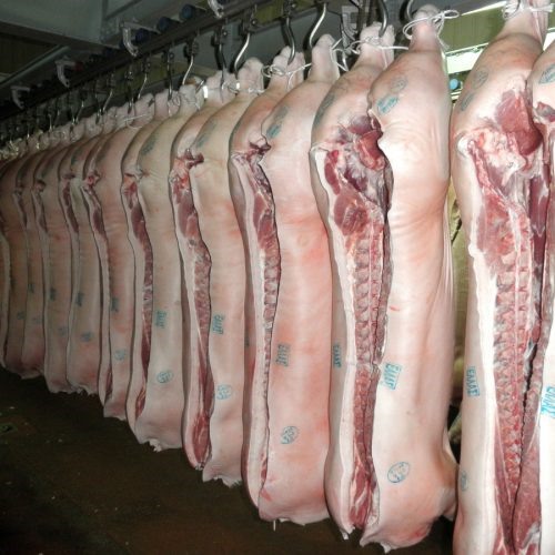 Εκσυγχρονισμός της "Δημοτικά Σφαγεία Τρικάλων Α.Ε." με επένδυση 600.000 ευρώ