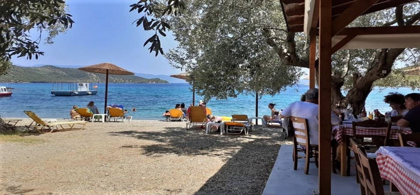 Σε πτώση η εστίαση στα παράλια της Μαγνησίας