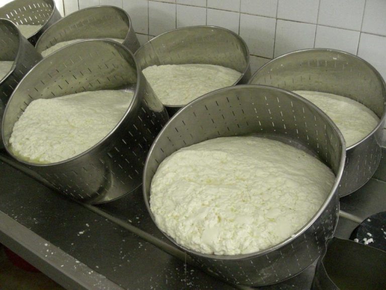 Τράπεζα Πειραιώς: Χρηματοδότηση τυροκομείου με "συμβολαιακή"