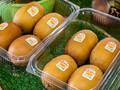 Τα Ελληνικά ακτινίδια φτάνουν μέχρι την Βραζιλία