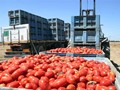 Αναβαθμίζεται η Καρδιτσιώτικη Damavand Αναβαθμίζεται η Καρδιτσιώτικη Damavand
