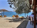 Σε πτώση η εστίαση στα παράλια της Μαγνησίας
